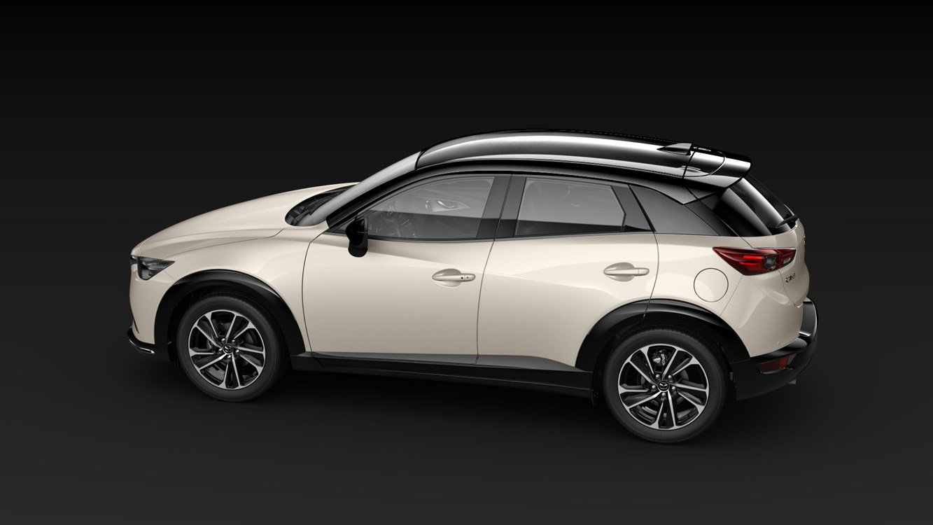 Jet Black - Platinum Quartz