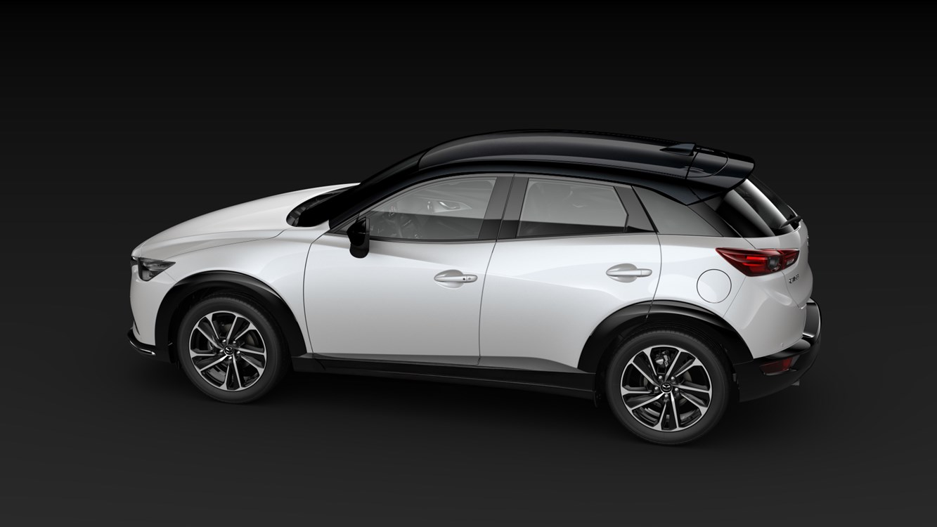 Jet Black - Snowflake White Pearl Mica